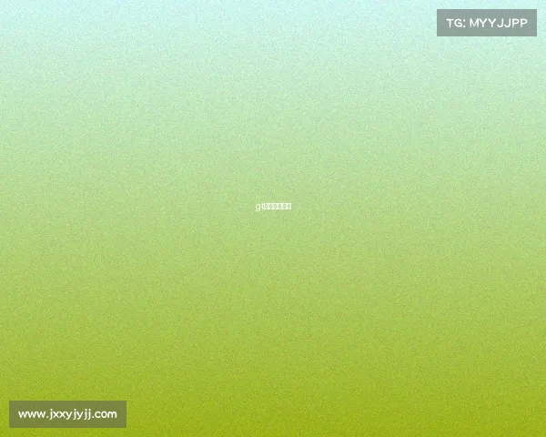 gt赛车比赛规则